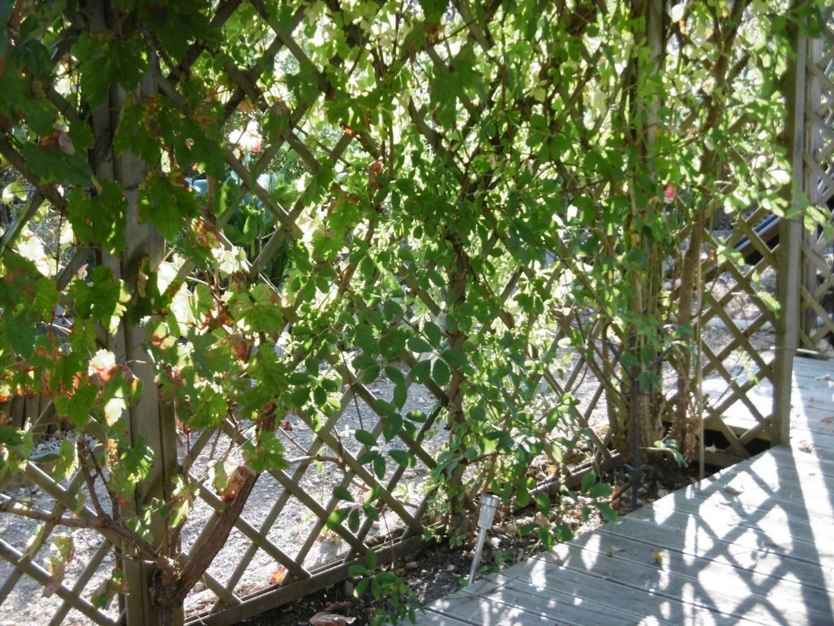 Le Chat Qui Peche B&B Chateauneuf-la-Foret Ngoại thất bức ảnh