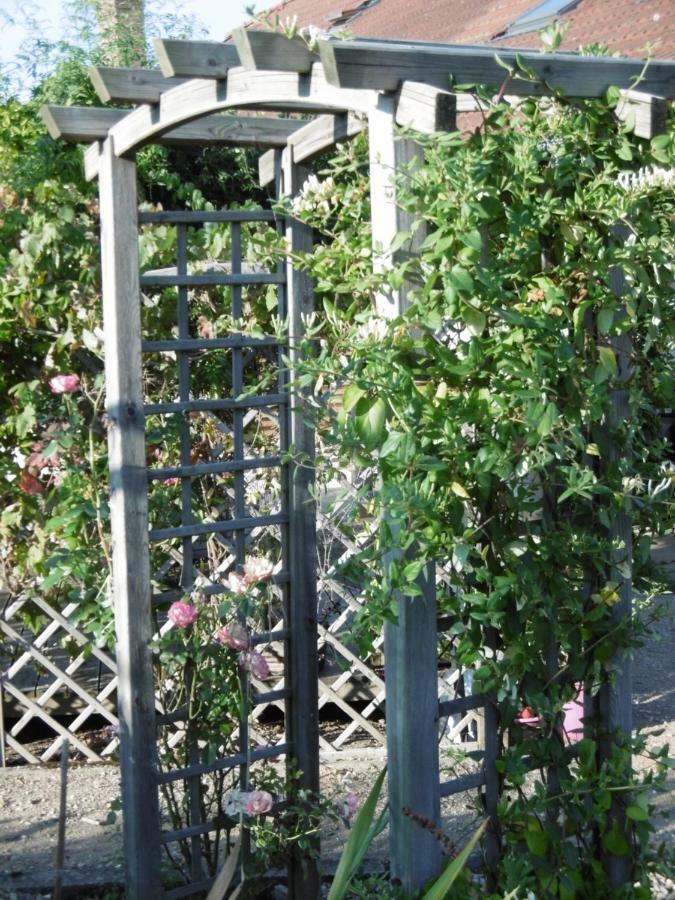Le Chat Qui Peche B&B Chateauneuf-la-Foret Ngoại thất bức ảnh